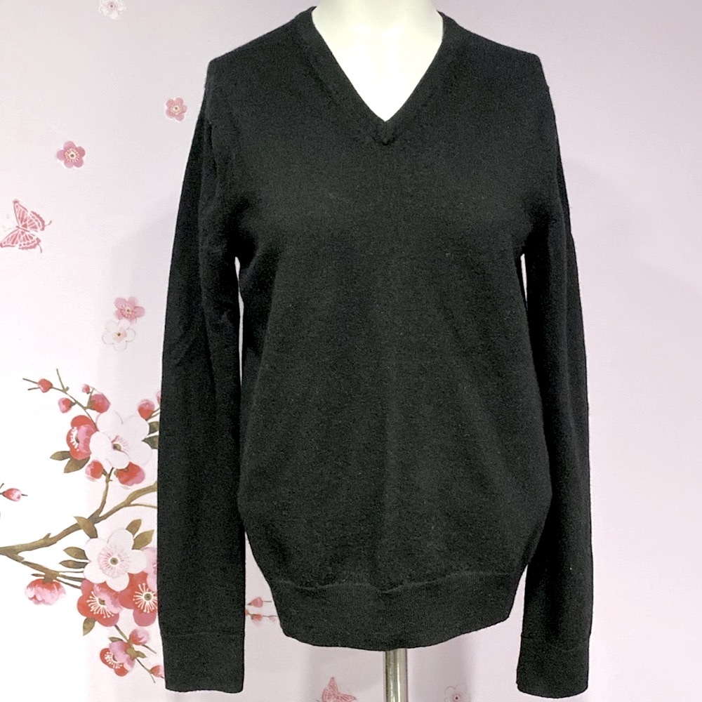 Express NWT Classic Black V-Neck Merino Vneck